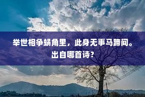举世相争蜗角里，此身无事马蹄间。出自哪首诗？