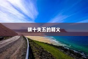 拔十失五的释义