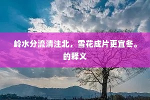 岭水分流清注北，雪花成片更宜冬。的释义