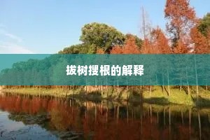 拔树搜根的解释