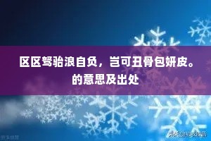 区区驽骀浪自负，岂可丑骨包妍皮。的意思及出处