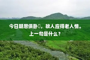 今日朝恩俱卧閤，故人应得老人情。上一句是什么？
