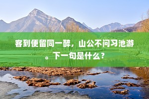 客到便留同一醉，山公不问习池游。下一句是什么？