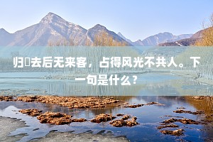 归艎去后无来客，占得风光不共人。下一句是什么？