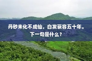 丹砂未化不成仙，白发衰容五十年。下一句是什么？