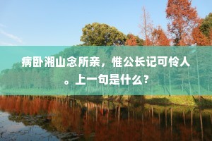 病卧湘山念所亲，惟公长记可怜人。上一句是什么？