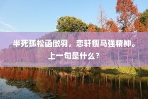 半死孤松函徵羽，恋轩瘦马强精神。上一句是什么？