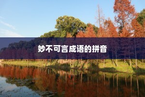 妙不可言成语的拼音