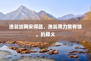 渔翁结网安得疏，渔翁用力常有馀。的释义