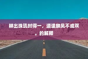 耕出珠玑时得一，道逢麟凤不成双。的解释