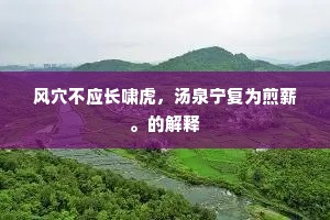 风穴不应长啸虎，汤泉宁复为煎薪。的解释