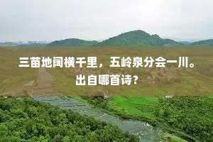 三苗地阔横千里，五岭泉分会一川。出自哪首诗？