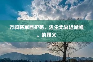万骑将军西护羌，边尘无复近麾幢。的释义