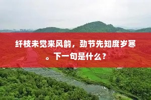 纤枝未觉来风韵，劲节先知度岁寒。下一句是什么？