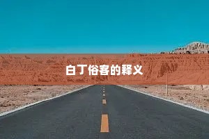 白丁俗客的释义