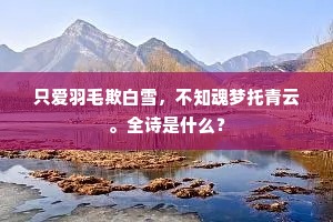 只爱羽毛欺白雪，不知魂梦托青云。全诗是什么？