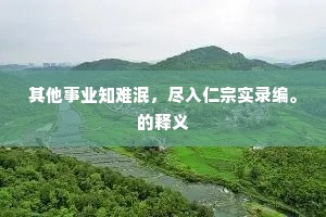 其他事业知难泯，尽入仁宗实录编。的释义