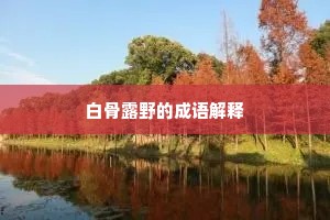 白骨露野的成语解释