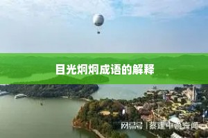 目光炯炯成语的解释