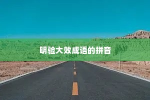明验大效成语的拼音