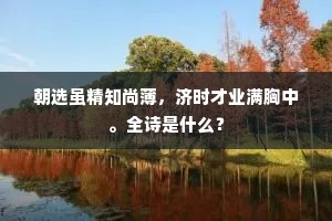 朝选虽精知尚薄，济时才业满胸中。全诗是什么？