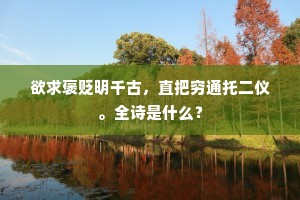 欲求褒贬明千古，直把穷通托二仪。全诗是什么？