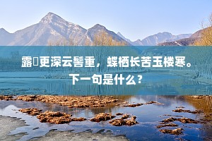 露裛更深云髻重，蝶栖长苦玉楼寒。下一句是什么？