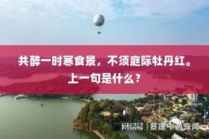 共醉一时寒食景，不须庭际牡丹红。上一句是什么？
