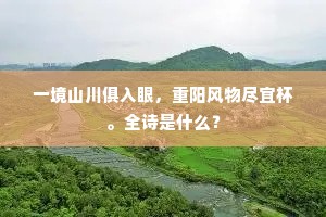 一境山川俱入眼，重阳风物尽宜杯。全诗是什么？
