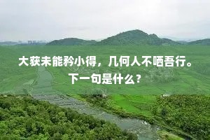 大获未能矜小得，几何人不哂吾行。下一句是什么？