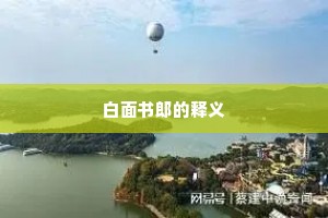 白面书郎的释义