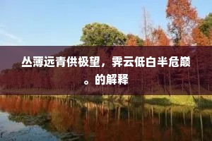 丛薄远青供极望，霁云低白半危巅。的解释