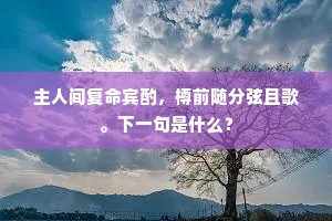主人间复命宾酌，樽前随分弦且歌。下一句是什么？