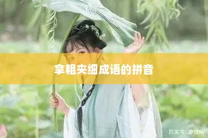 拿粗夹细成语的拼音