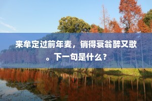 来牟定过前年麦，销得衰翁醉又歌。下一句是什么？