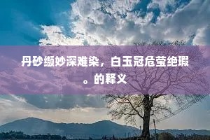 丹砂缬妙深难染，白玉冠危莹绝瑕。的释义