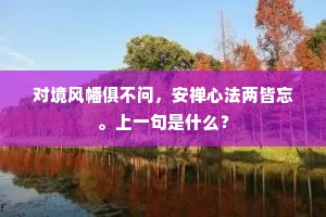 对境风幡俱不问，安禅心法两皆忘。上一句是什么？