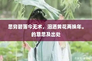 思穷碧落今无术，泪洒黄花两换年。的意思及出处