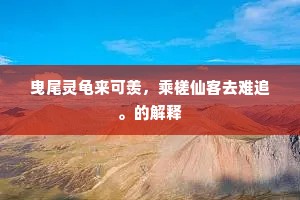 曳尾灵龟来可羡，乘槎仙客去难追。的解释