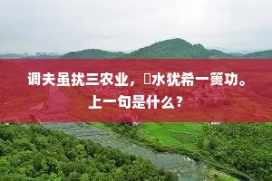调夫虽扰三农业，禦水犹希一篑功。上一句是什么？