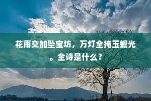 花雨交加坠宝坊，万灯全掩玉蟾光。全诗是什么？