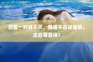 功盖一时诚不灭，恨埋千古欲谁明。出自哪首诗？
