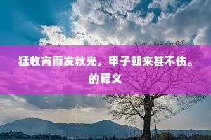 猛收宵雨发秋光，甲子朝来甚不伤。的释义