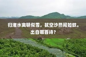 归渚水禽明似雪，扰空沙燕闹如蚊。出自哪首诗？