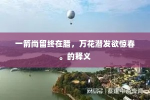 一箭尚留终在腊，万花潜发欲惊春。的释义