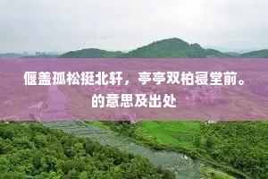 偃盖孤松挺北轩，亭亭双柏寝堂前。的意思及出处