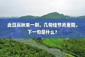 此日高秋来一别，几旬佳节负重阳。下一句是什么？