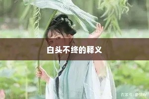 白头不终的释义