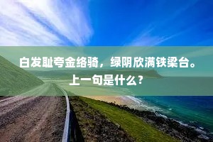 白发耻夸金络骑，绿阴欣满铁梁台。上一句是什么？