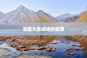 浓眉大眼成语的解释